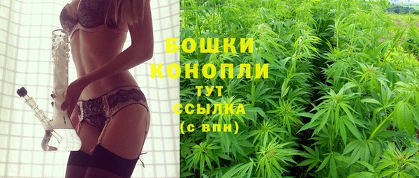 метадон Медвежьегорск