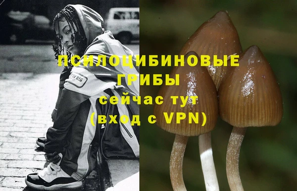 меф Медногорск