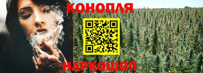 spice Донецк