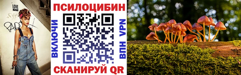 Псилоцибиновые грибы Cubensis  hydra ONION  Малоярославец 