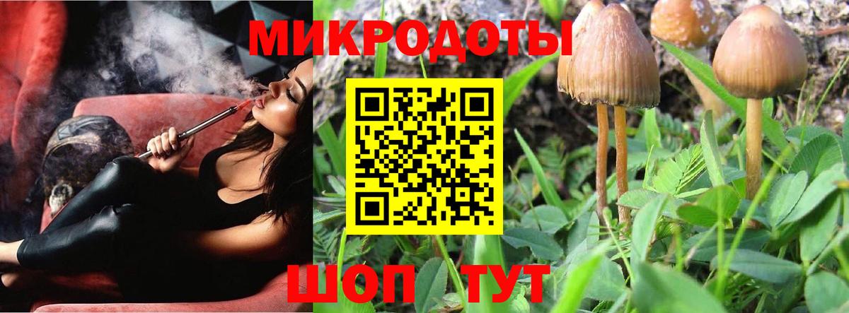 Галлюциногенные грибы мицелий  Вход с VPN  Малоярославец 