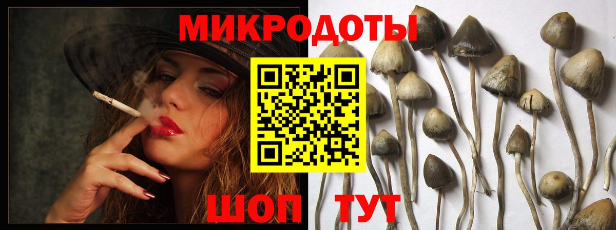где купить наркоту  Малоярославец  Галлюциногенные грибы MAGIC MUSHROOMS  Галлюциногенные грибы прущие грибы 