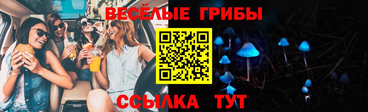 Галлюциногенные грибы Psilocybe Малоярославец